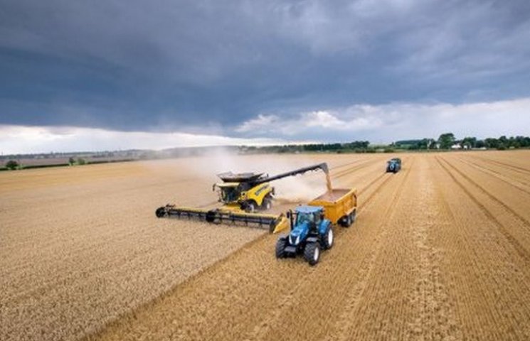 Max Toriya company offers cooperation on the terms of grain export abroad, in the long term
