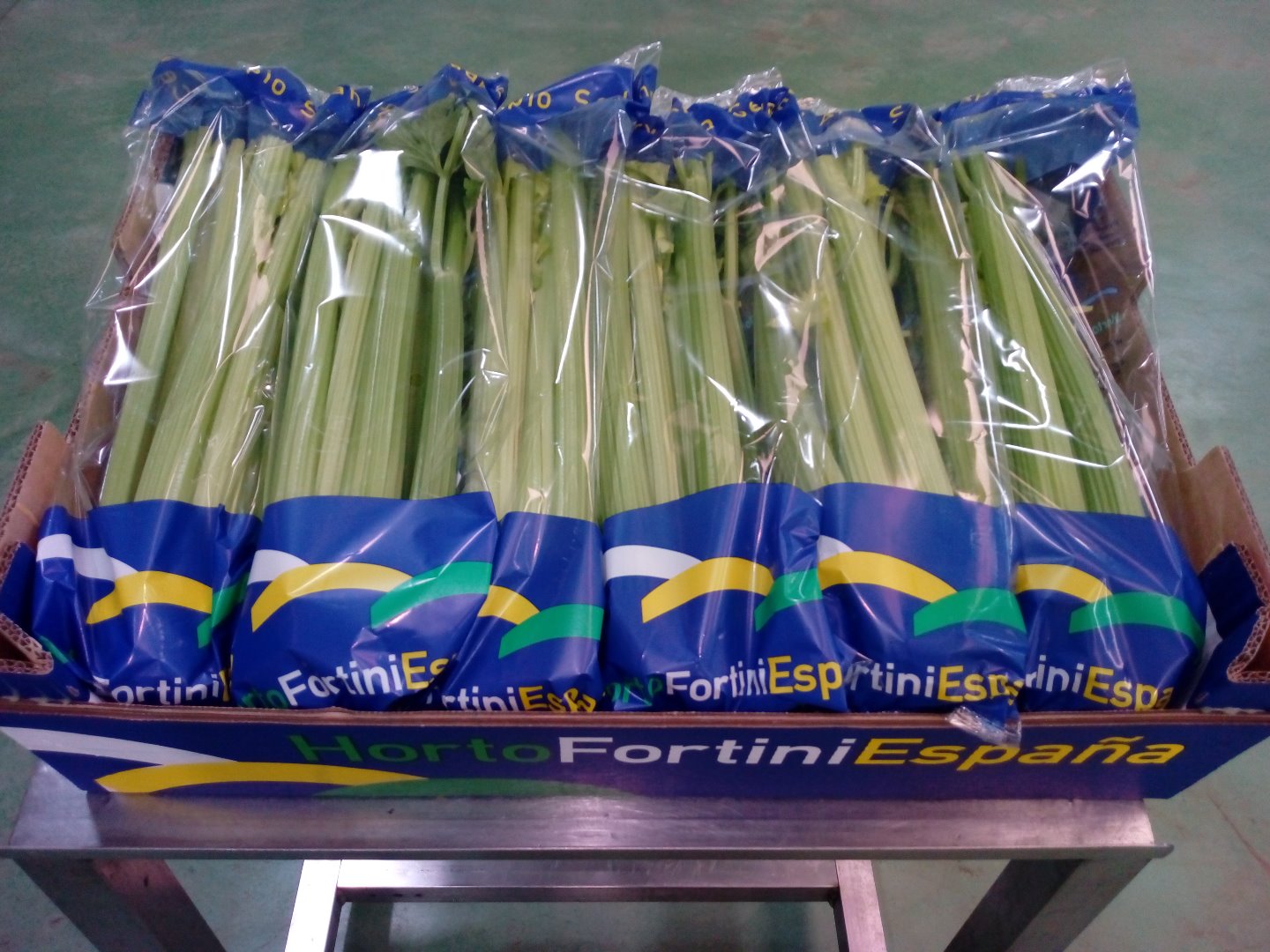 I will sell celery planted in accordance with the customer's guidelines