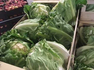 I will sell cauliflower, import from France, attractive price,