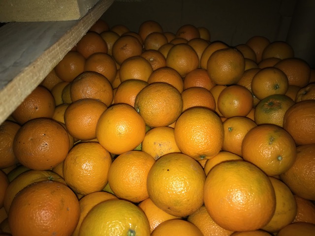 I will sell class 2 orange juice in bins of 600 kg