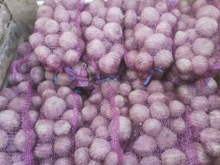 5. I will sell beetroot Boro variety; 10ton; cal.