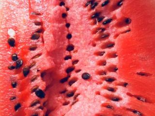 Watermelon greece for 5 days 100 tons