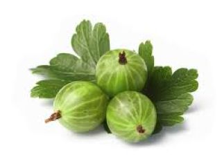 I have to sell in the 2018 season. gooseberry