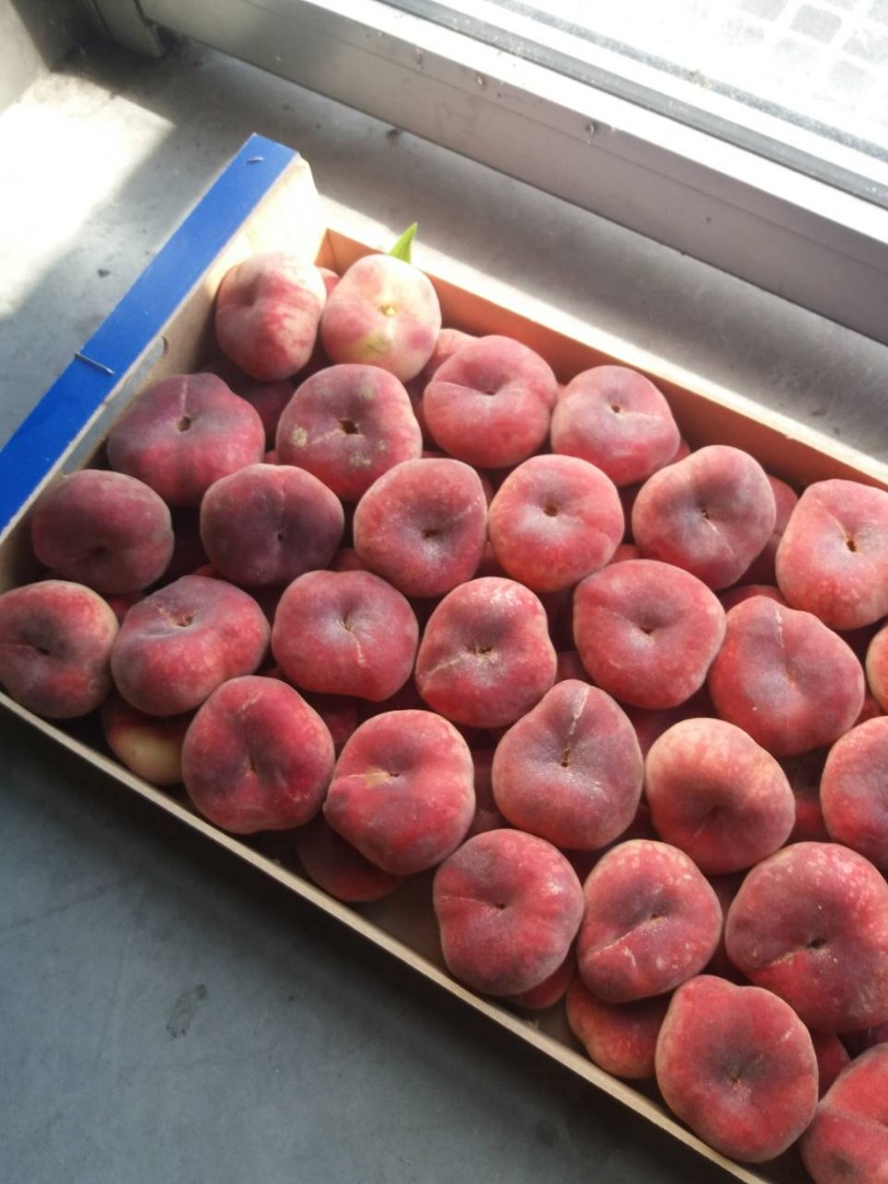 I will sell flat peach - paraguay, nice, fresh, tasty, import from Spain, 2 pallets