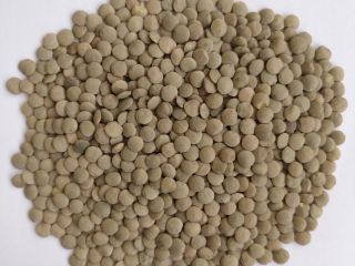 *** Green food lentils *** Quality parameters: Purity -
