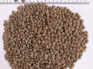 **** Lentils brown food **** Quality parameters: Purity -
