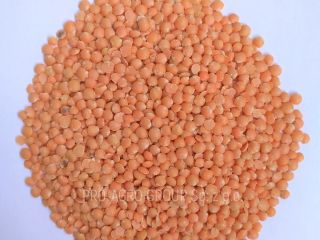 *** Lentil sanded food grade *** Price - 2.75