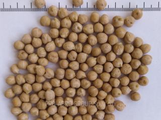 *** Food peas *** Quality parameters: Purity - 99.9%