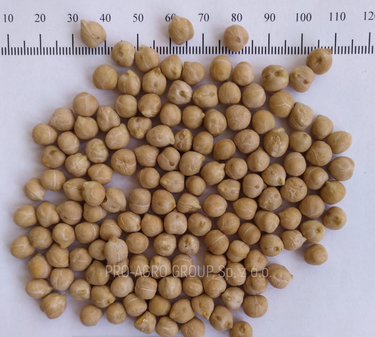 *** Food peas *** Quality parameters: Purity - 99.9% Humidity - no more than 12.0% Garbage admixtures - 0% Damaged grains - 0.1% Caliber - 6+ 7+ 8+ Batch