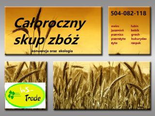 I will buy conventional and ecological cereals: rye, triticale,