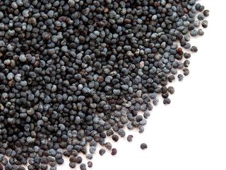 I offer for sale Czech blue poppy, I. and