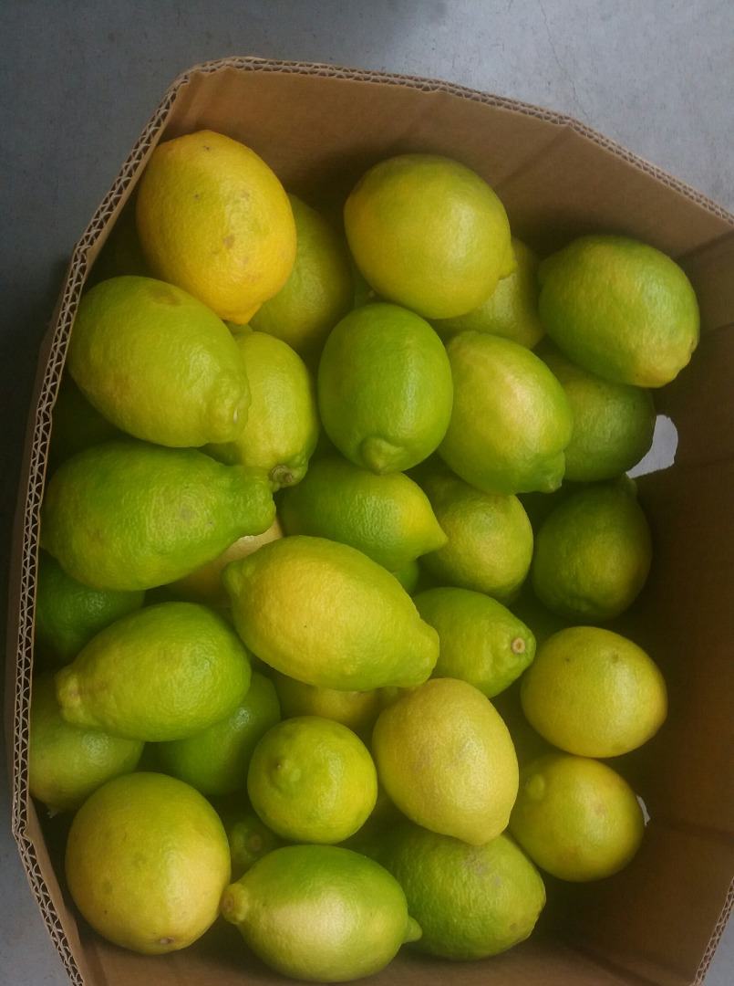 I will sell a cheap class 2 lemon for juice / for processing