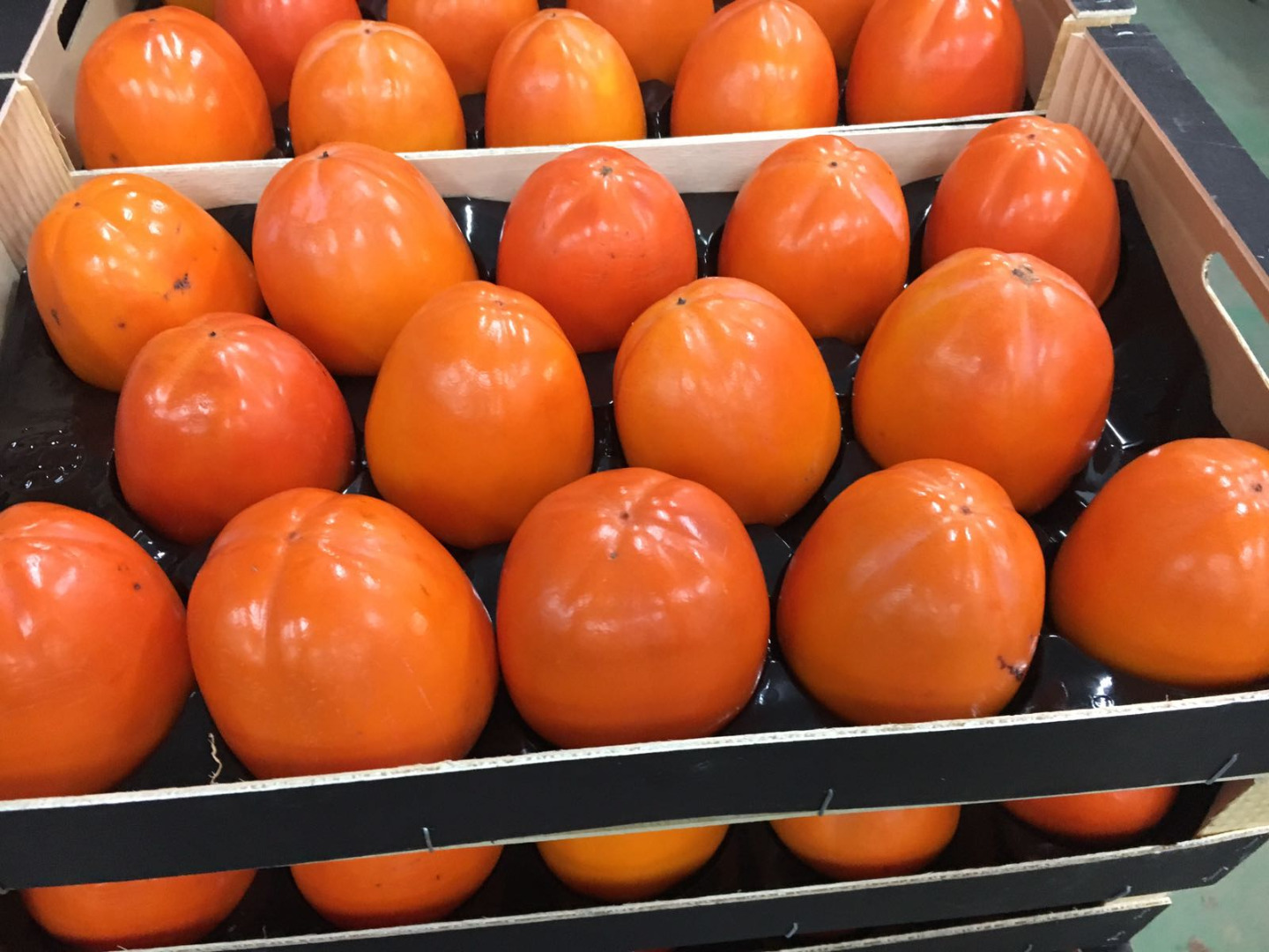 I will sell kaki from Spain. Kaki, persimmon, wholesale