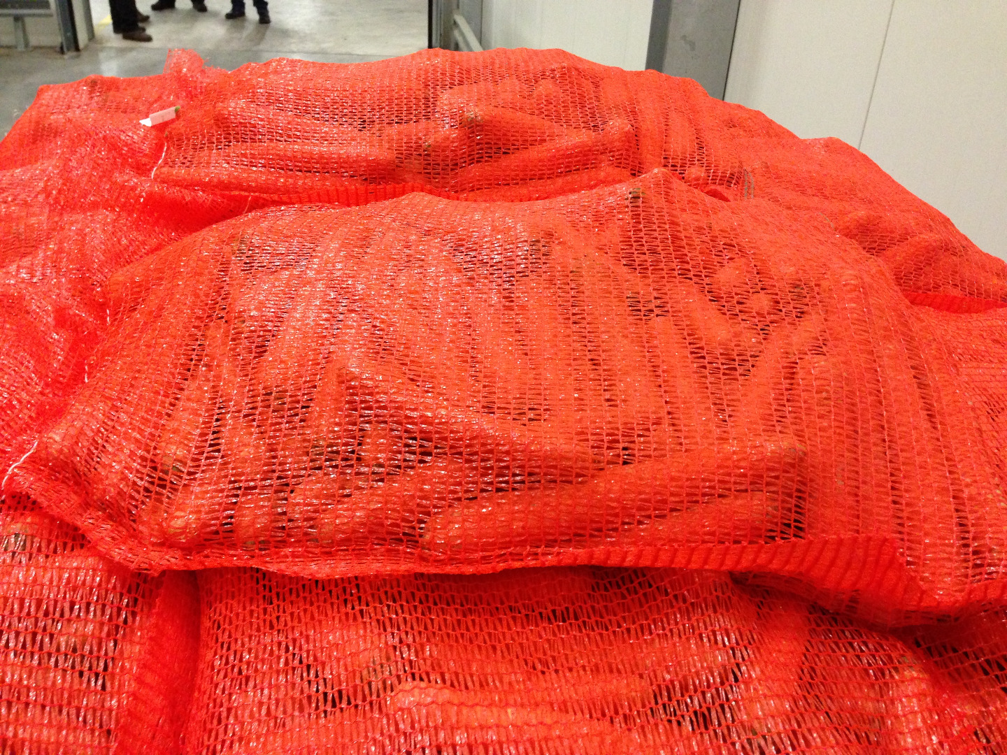 Carrot washed or brushed wholesale quantities directly from the manufacturer