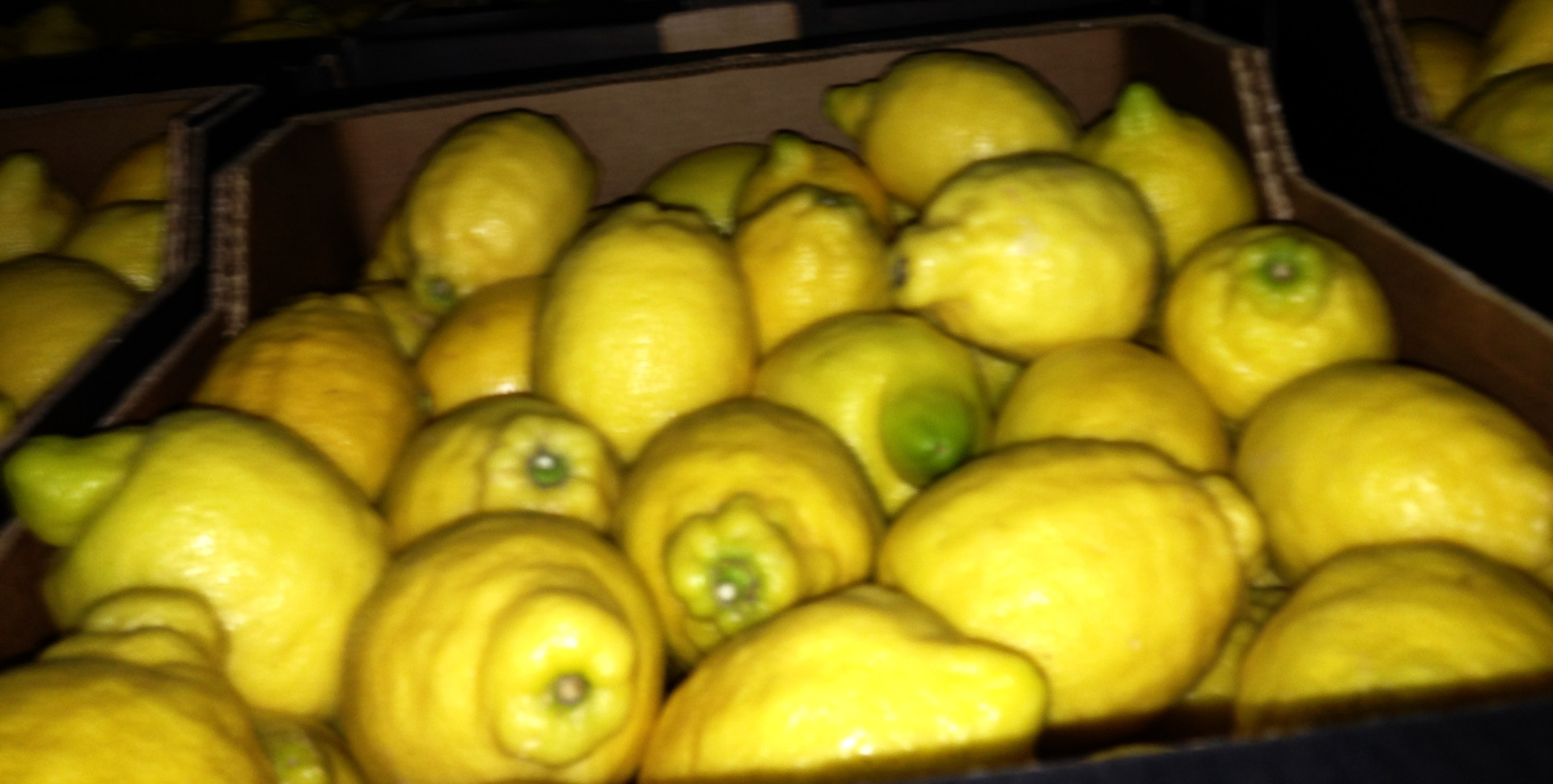 I will buy lemons for export, class I, any packaging