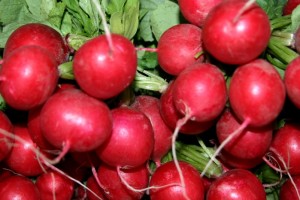 The producer sells radish.
