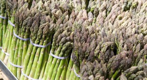 I will sell Spanish asparagus.