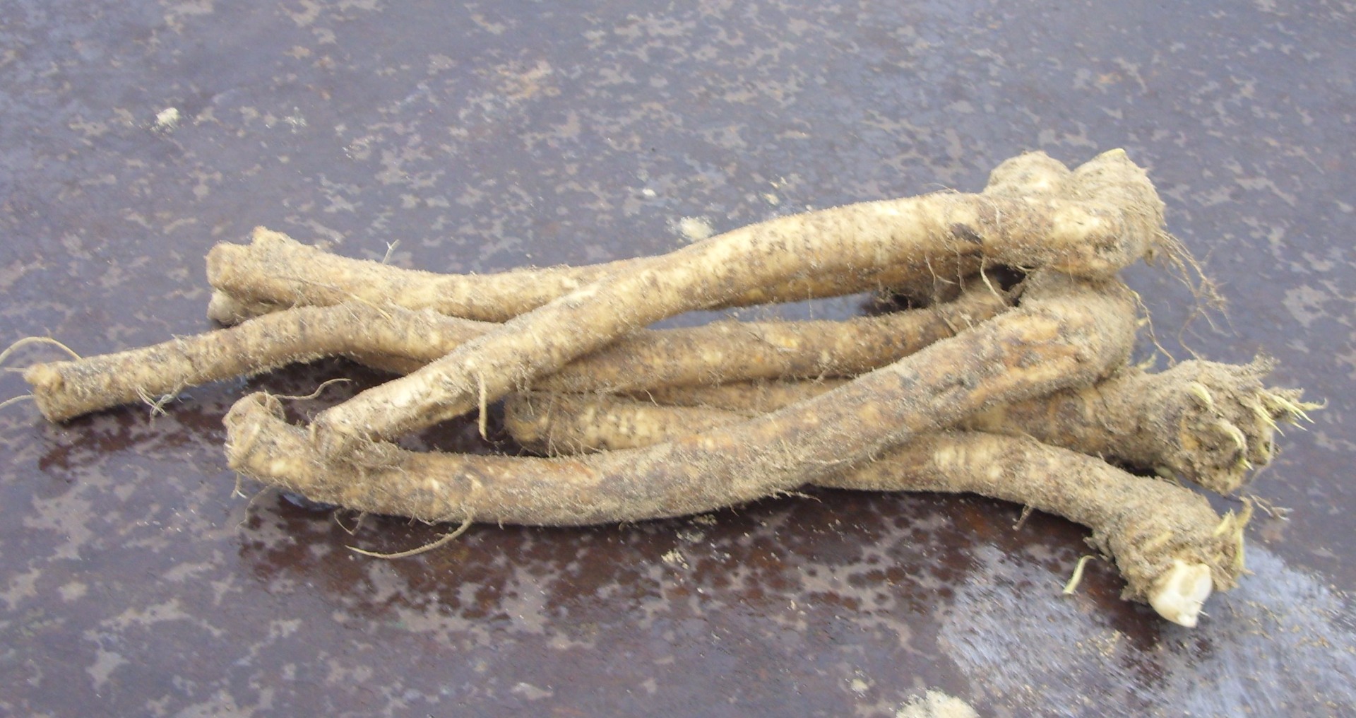 I will sell horseradish, Old Polish variety, price to
