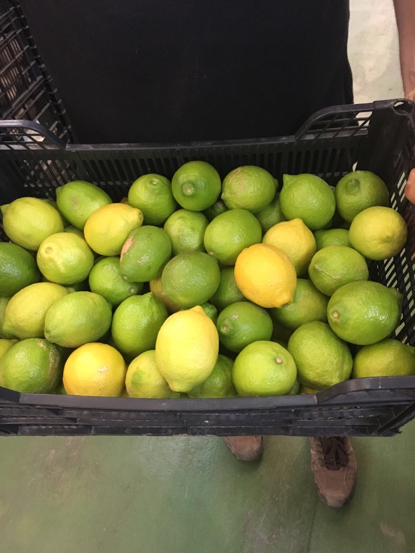 I have a sale of lemon Spain in large quantities to complete the order up to three days from the order