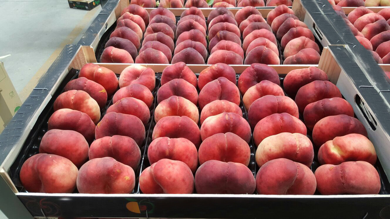 I will sell wholesale quantities of paraguayo, peach UFO,