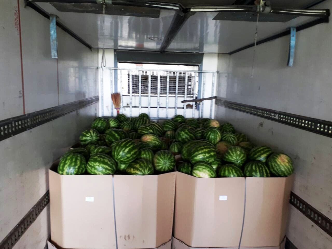 I will sell watermelons in a pallet of 400 kg