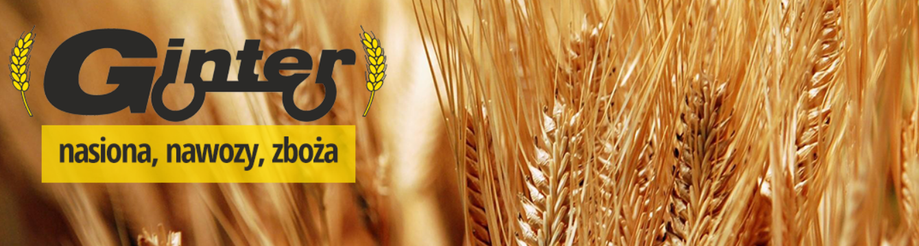 PPHU Ginter will contract rapeseed for harvest 2020