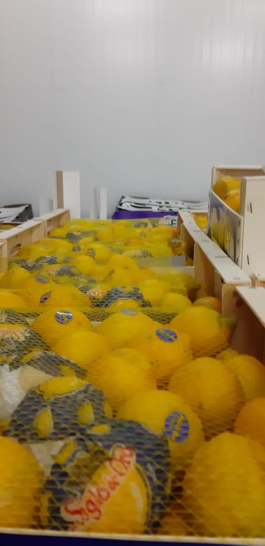 TERRACES ARE OPEN !!!! LEMON FOR HORECA !!!!! Lemons for Horeca, origin Spain, variety Verna: caliber 2/3 / 4- quality II - 4.2 ron / kg caliber 5/6 - 7/8