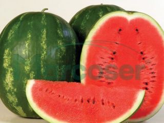 Vand melon soi karistan. For details do not hesitate