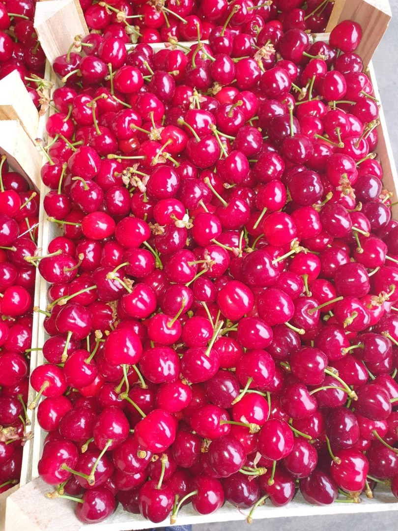We offer seasonal fruits, berries and vegetables of the country of origin Serbia