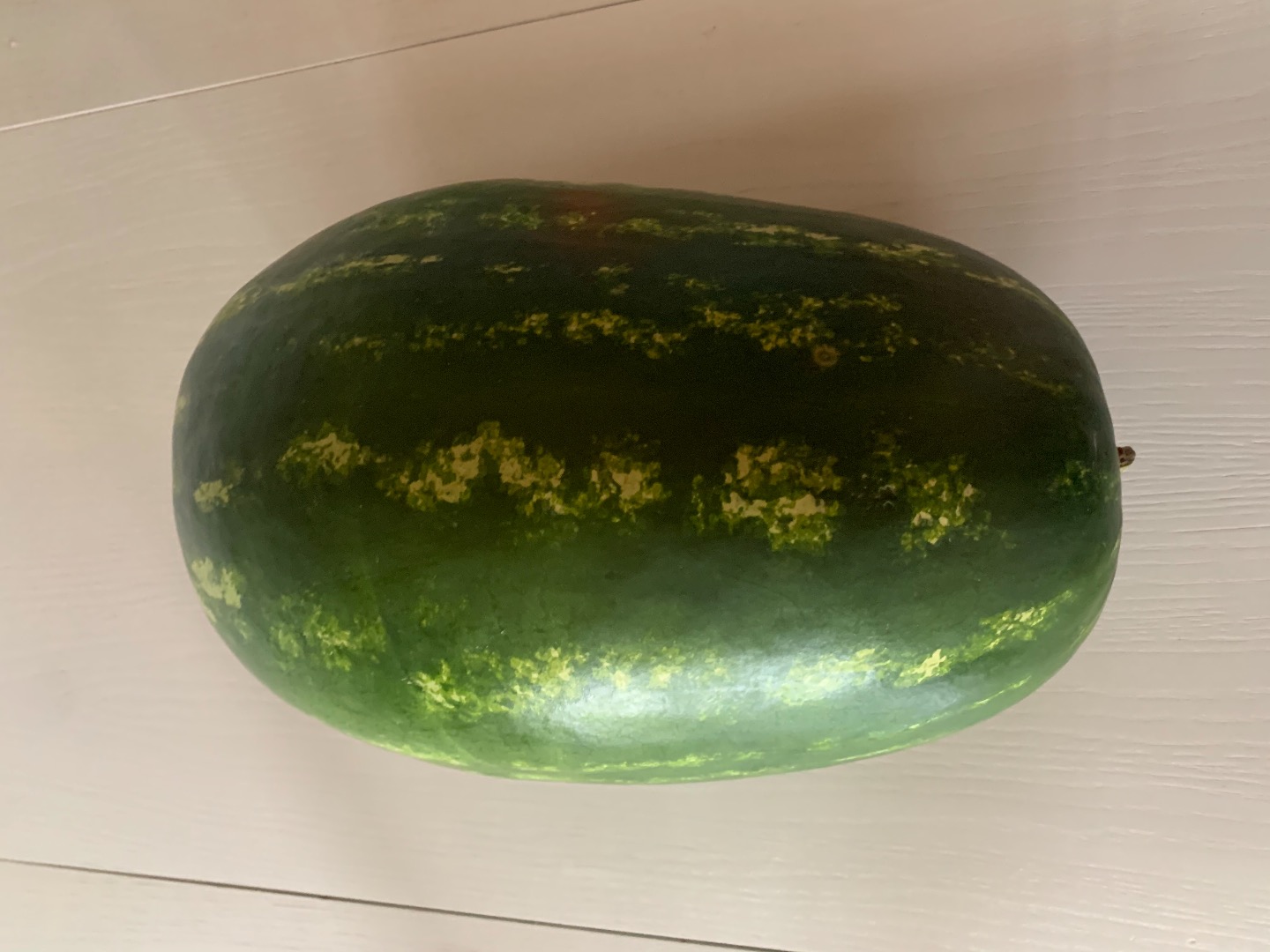 I will sell a Watermelon, caliber 4-15 kg, class I