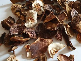 Dried boletus, sliced, 2019, organic, 5 kg