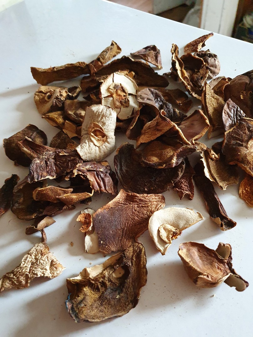 Dried boletus, sliced, 2019, organic, 5 kg