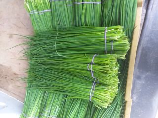 I will sell green chives, young, without buds, wholesale