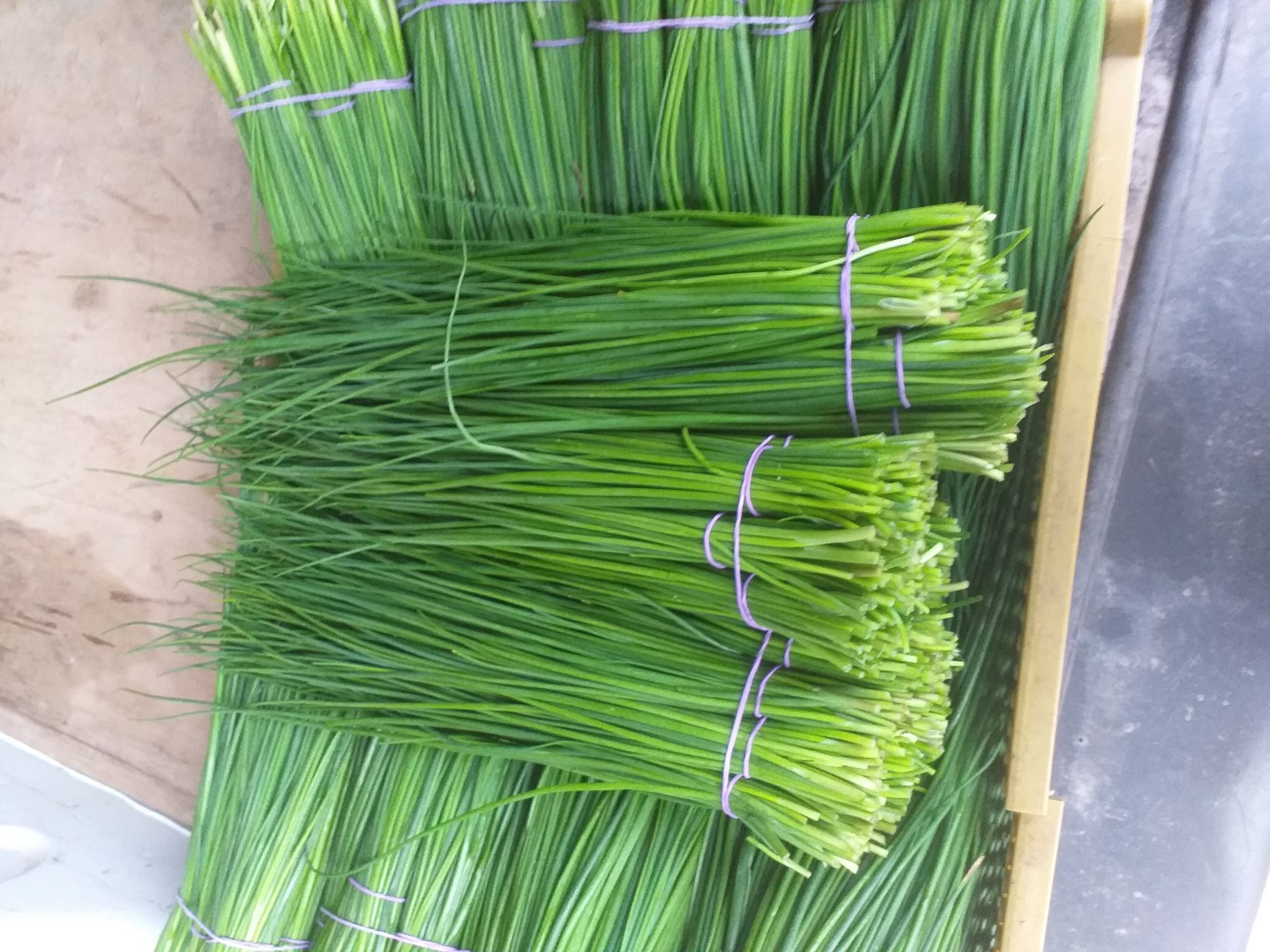 I will sell green chives, young, without buds, wholesale quantities