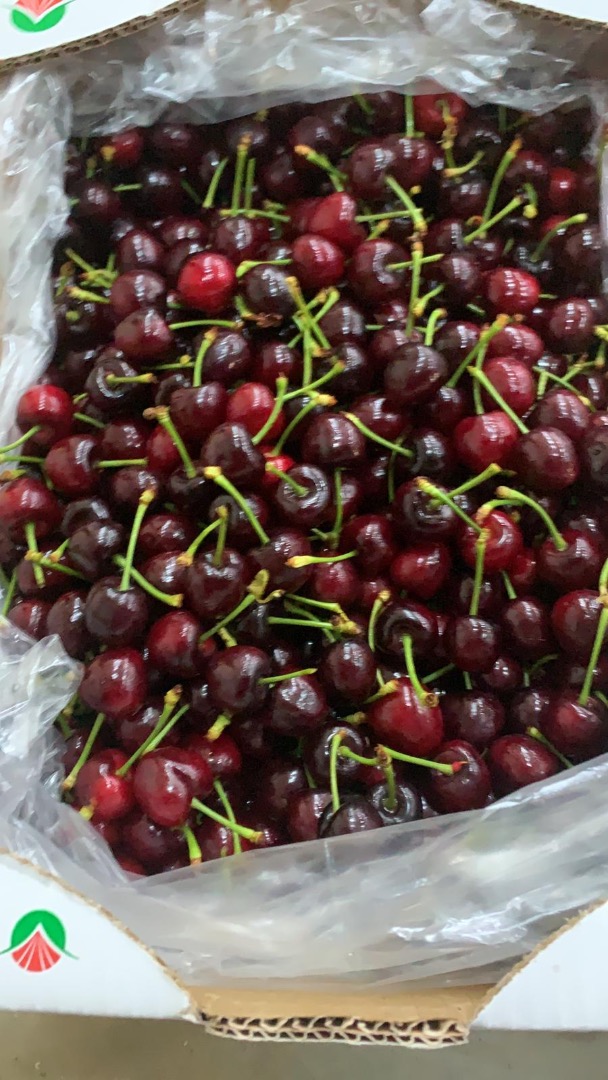 I offer cherries from Turkey, Napoleon variety, caliber 28+