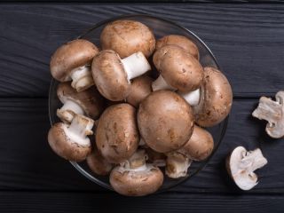 Am selling this mushroom, I have have all king