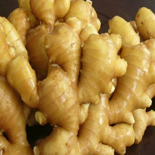 We sell Fresh Ginger ,washed and Air dry ginger