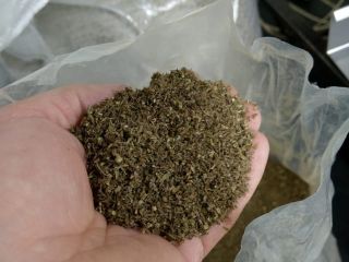 about 5 tons of Organic Cannabis Sativa L inflorescence