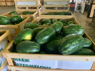 Direct deliveries of watermelons and melons from Greece! We