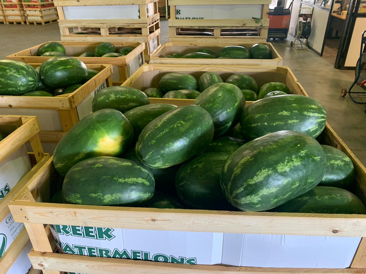 Direct deliveries of watermelons and melons from Greece! We will be glad to cooperate