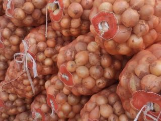 Fresh onions from Uzbekistan premium quality. For reasonable price.