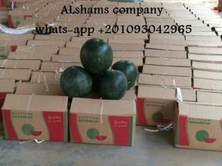 (ALshams company for general import & export ) Offering