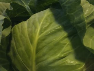 Hand-woven, raised in silicon earth. High quality and nutritious