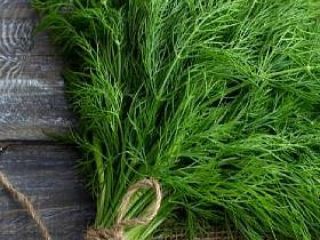 I will sell dill
