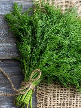 I will sell dill