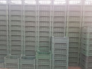I will sell plastic boxes 15 kg 40x60x22 cm