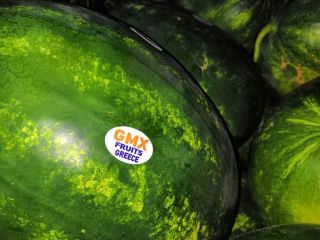 I will sell watermelons from Greece. Celine and Florini