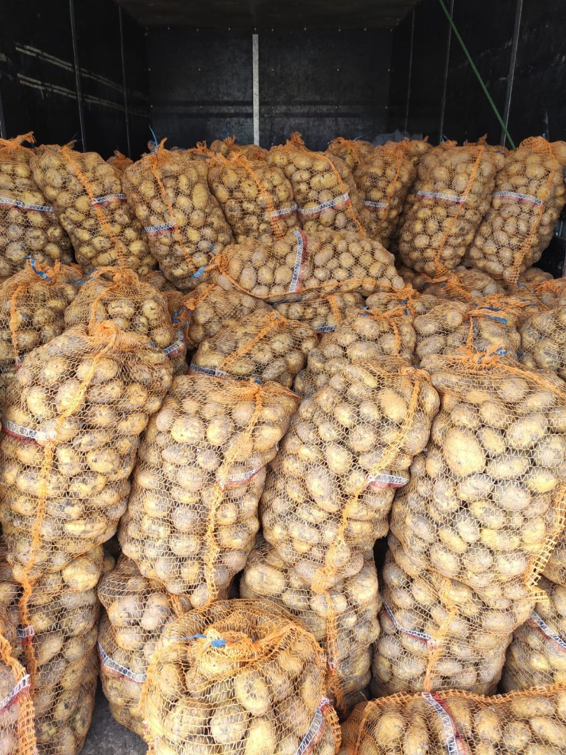 We sell Fresh quality GRAPES contact us directly via email for more details