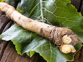 I will sell horseradish root.