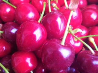 I will sell cherries, my own collections, torn out,